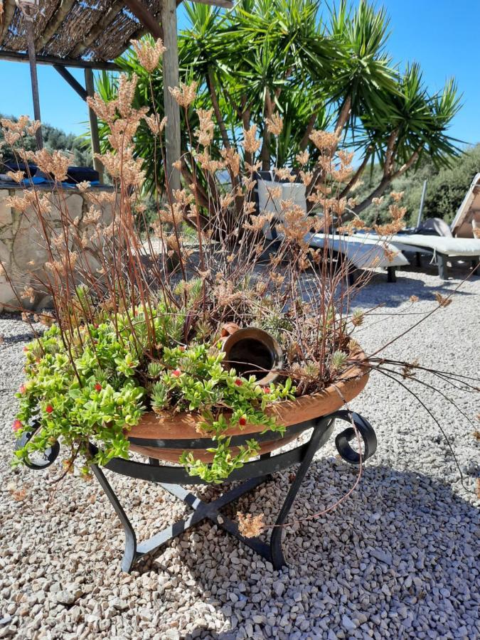 Hacienda La Buena Vida B&B En Appartementen Casita La Bruja Algarinejo Ngoại thất bức ảnh