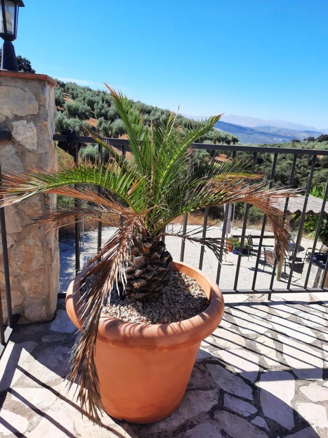 Hacienda La Buena Vida B&B En Appartementen Casita La Bruja Algarinejo Ngoại thất bức ảnh