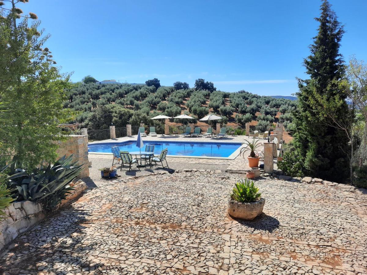 Hacienda La Buena Vida B&B En Appartementen Casita La Bruja Algarinejo Ngoại thất bức ảnh