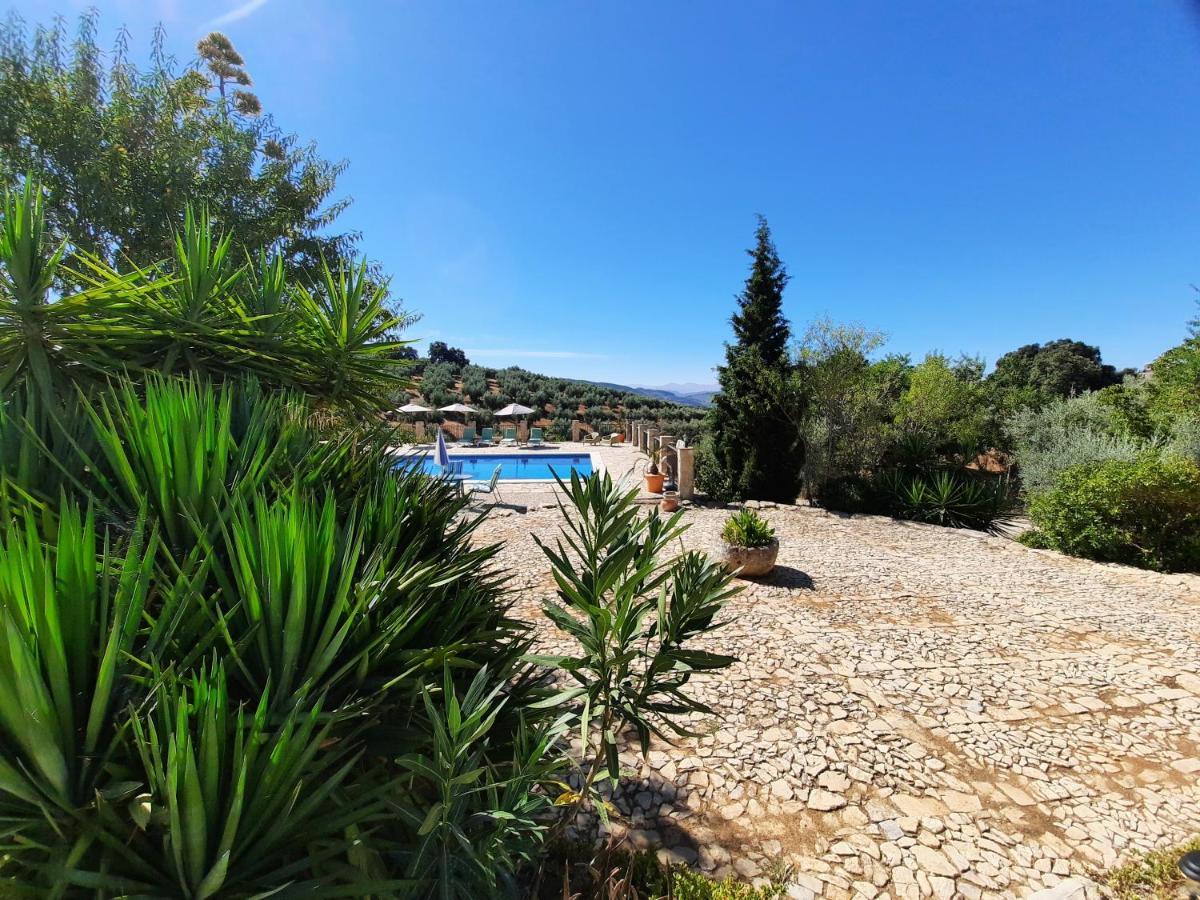 Hacienda La Buena Vida B&B En Appartementen Casita La Bruja Algarinejo Ngoại thất bức ảnh