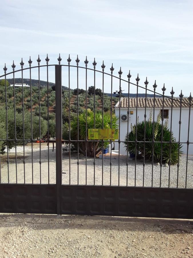 Hacienda La Buena Vida B&B En Appartementen Casita La Bruja Algarinejo Ngoại thất bức ảnh