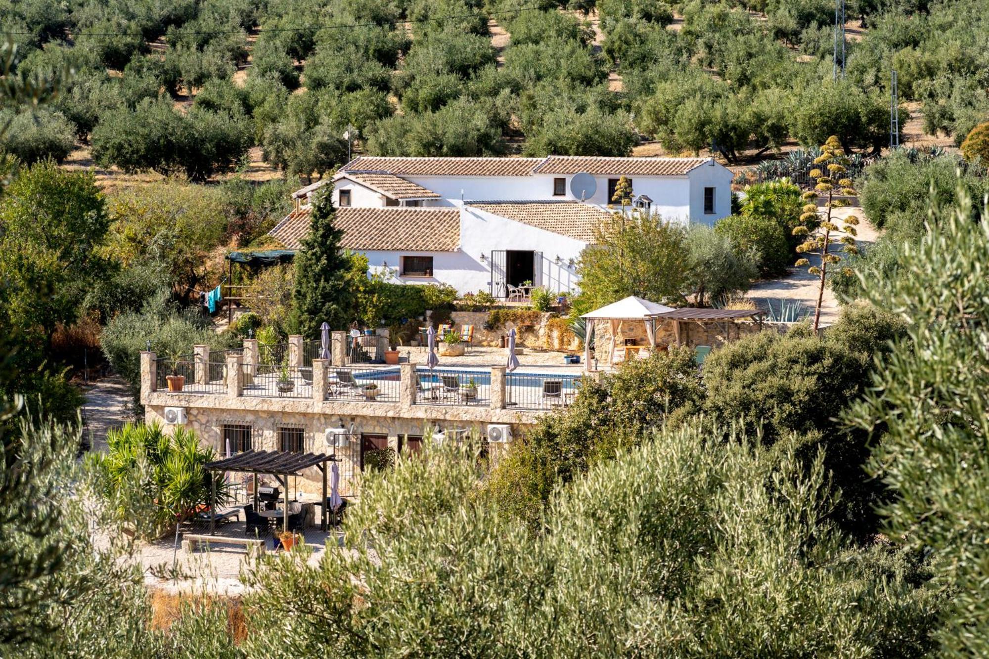 Hacienda La Buena Vida B&B En Appartementen Casita La Bruja Algarinejo Phòng bức ảnh